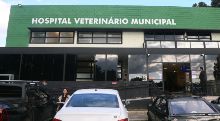 Projeto de Lei em Curitiba Busca Combater Maus-Tratos a Animais