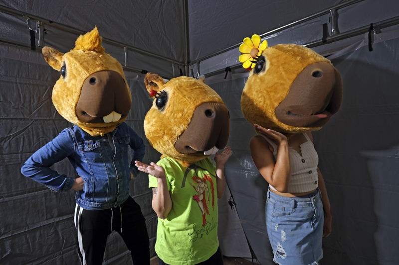 Natal de Curitiba 2025: apresentações de Natal estreiam em meio a desafios climáticos