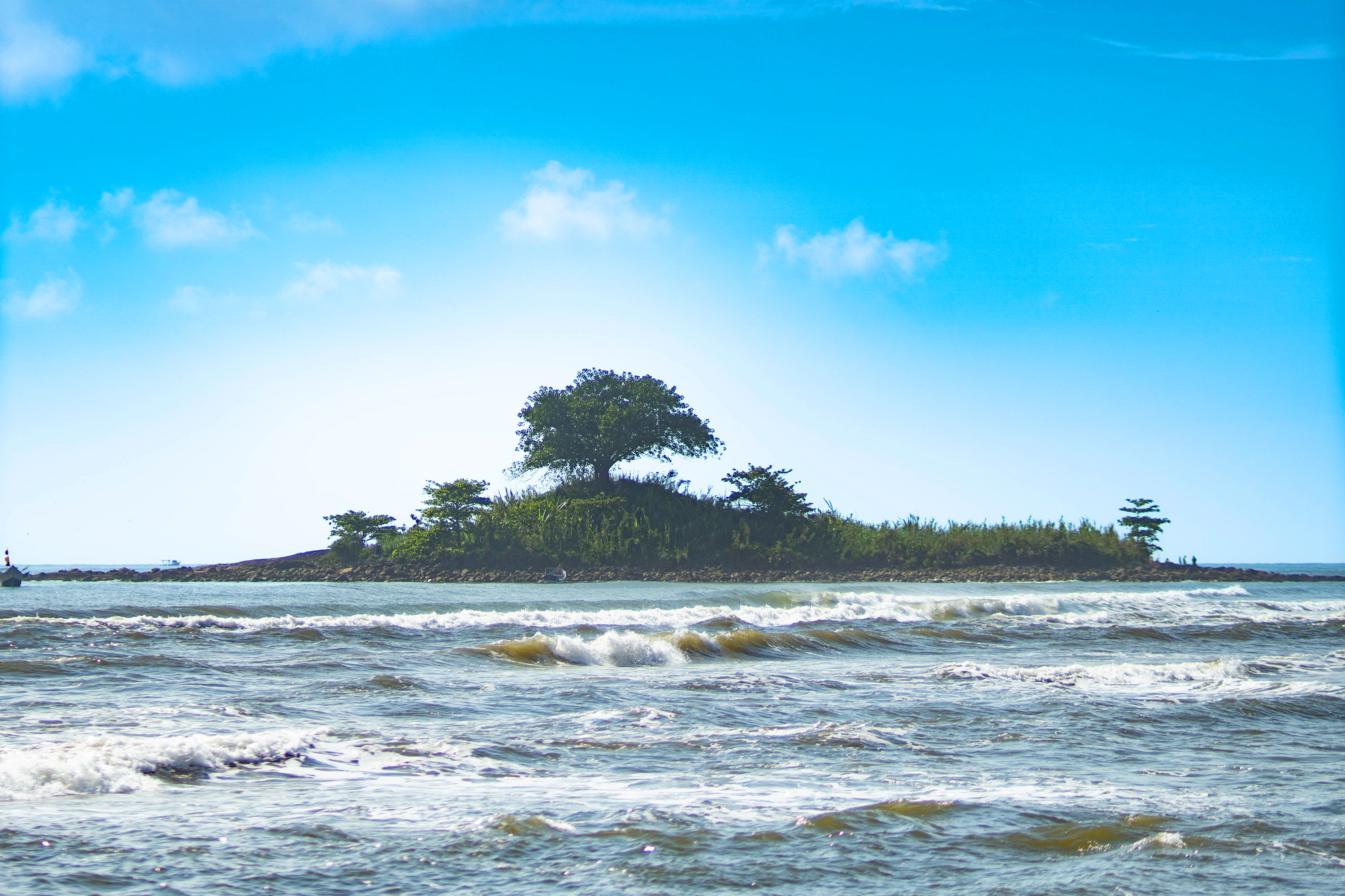 Chuva e Temperaturas em Janeiro de 2026: Paraná Registra Anomalias Climáticas