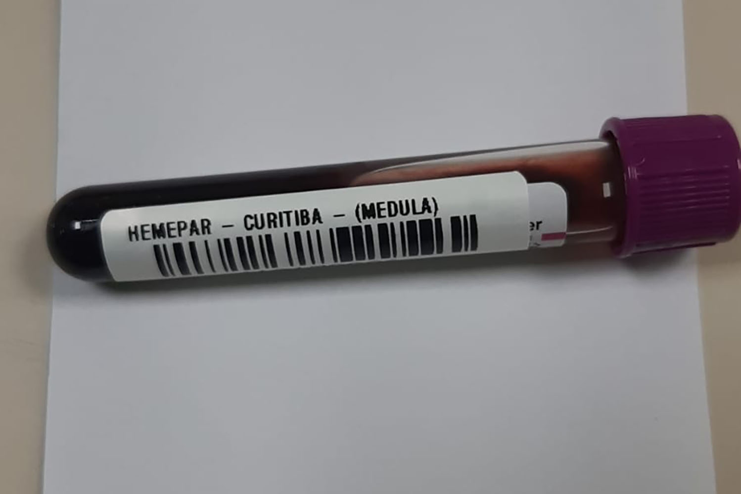 Fevereiro Laranja: Mês de Conscientização sobre a Leucemia