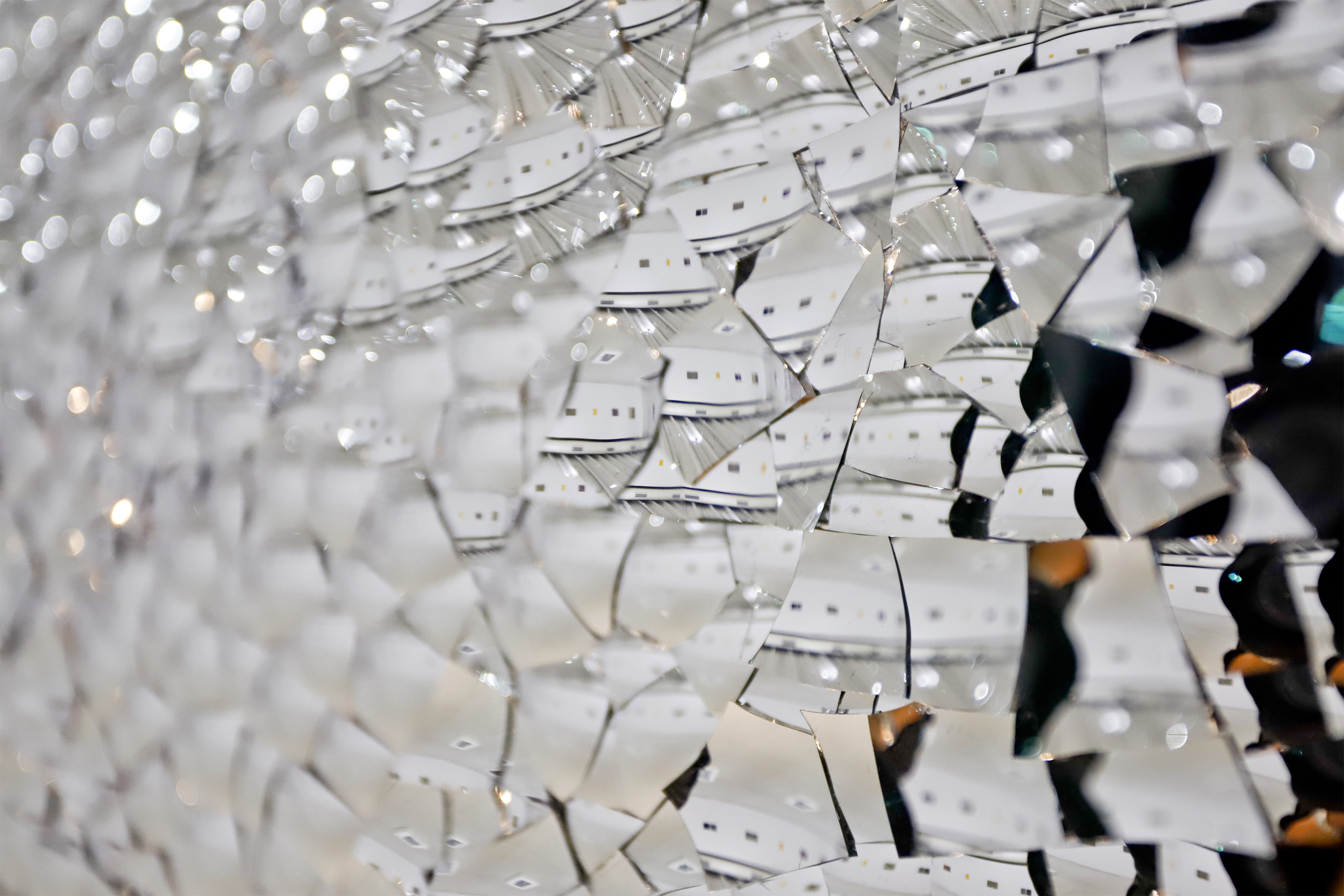 Últimos dias para visitar exposições no Museu Oscar Niemeyer