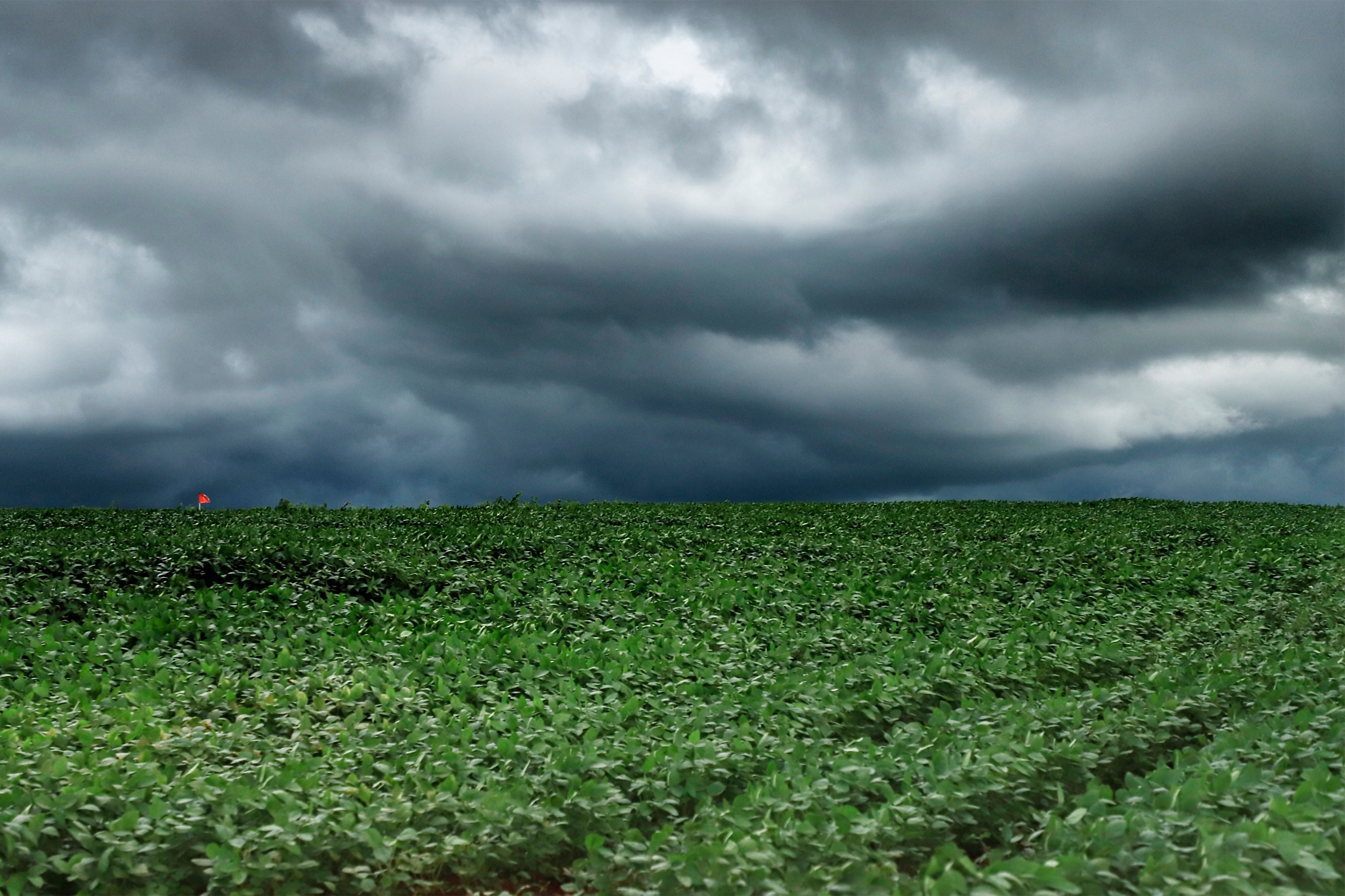 Tempestades afetam o Paraná; acumulados de chuva superam 55 mm em algumas regiões