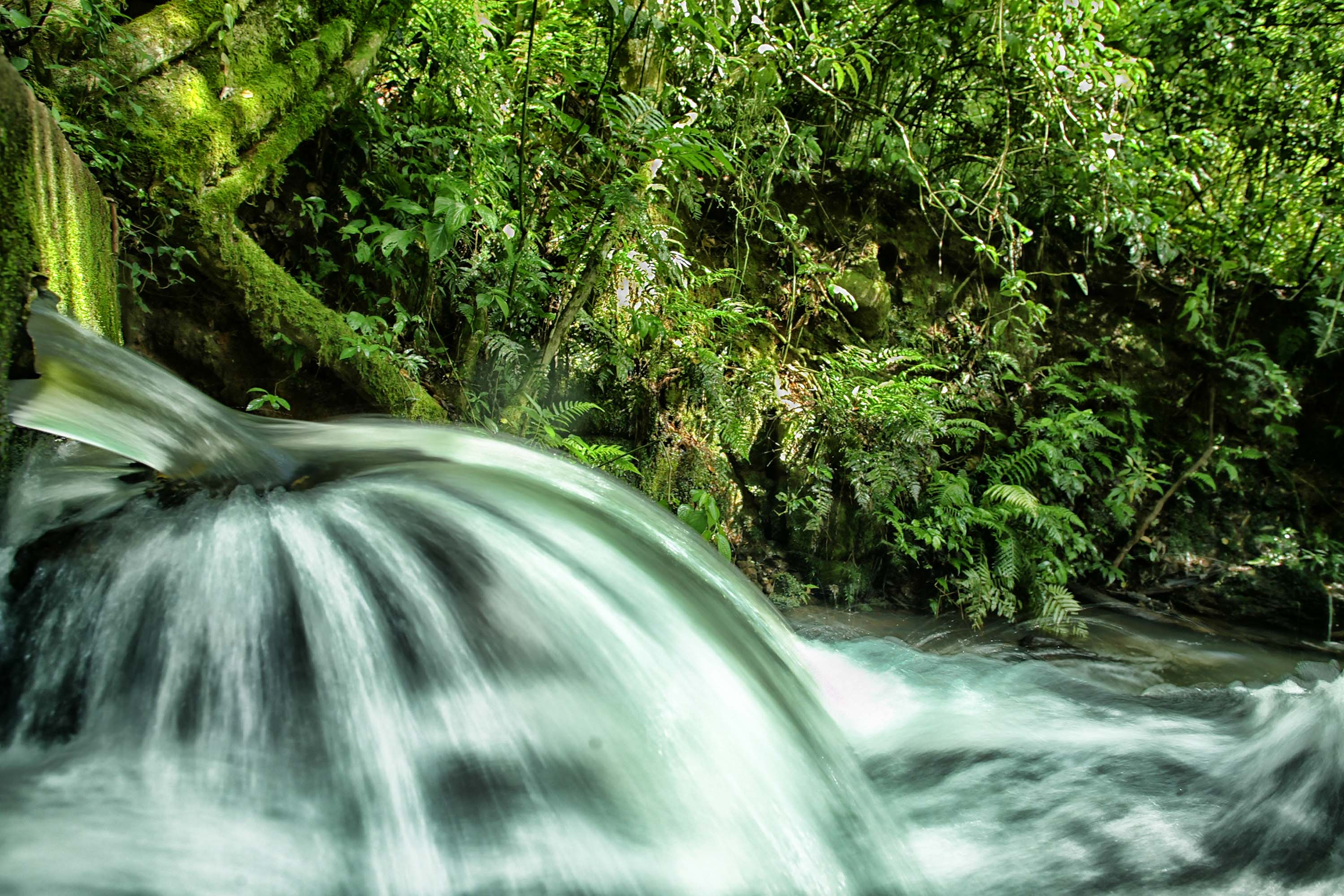Prazo para envio de Relatórios Técnicos do ICMS Ecológico é prorrogado no Paraná