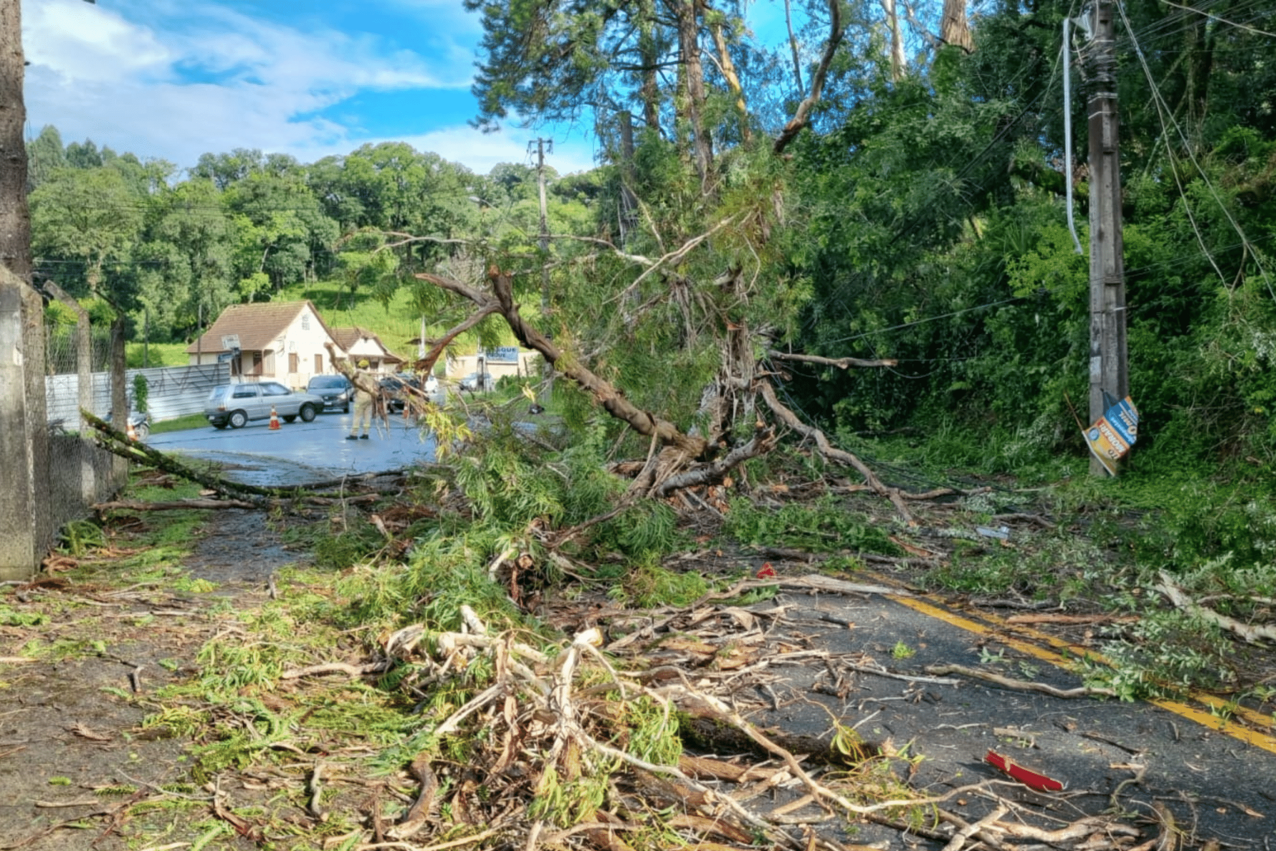 Forte Vento em Curitiba Gera Mais de 230 Chamadas à Defesa Civil
